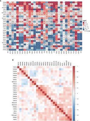 The Pan-Cancer Landscape of Crosstalk Between TRP Family and Tumour Microenvironment Relevant to Prognosis and Immunotherapy Response